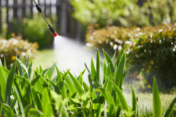 Tamper-Resistant Bait Stations for Rodents in Wilton